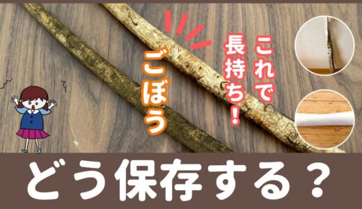 ごぼうが長すぎて冷蔵庫に入らない！どうやって保存するのがいいの？野菜のプロが解説